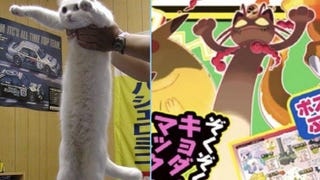 Pokémon Spada e Scudo: con Gigantamax Meowth è tornato di moda il longcat meme
