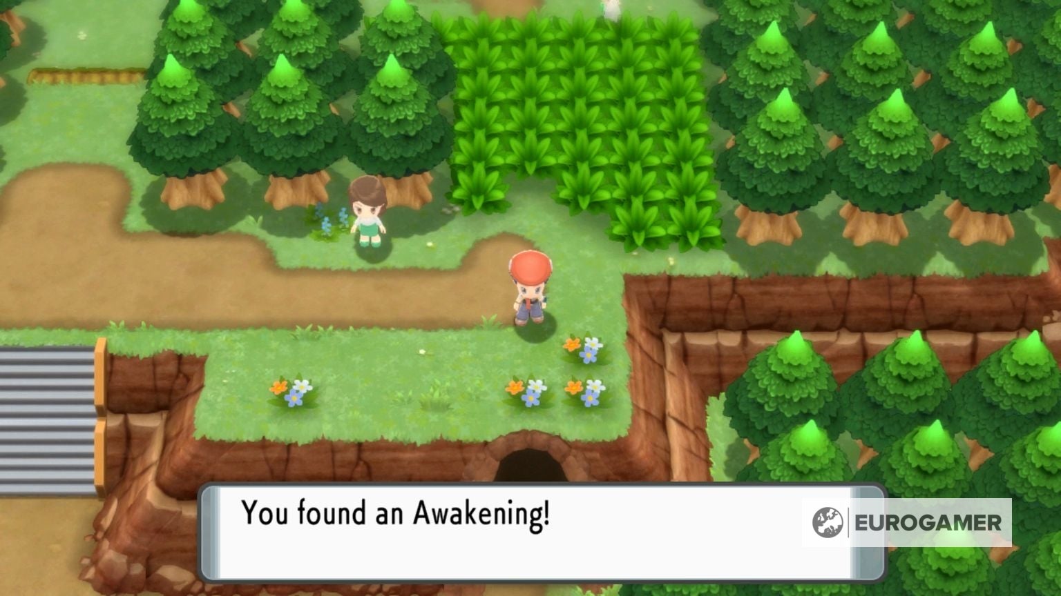 Ravaged Path and Route 204 North Pokémon, trainers and items in Pokémon ...