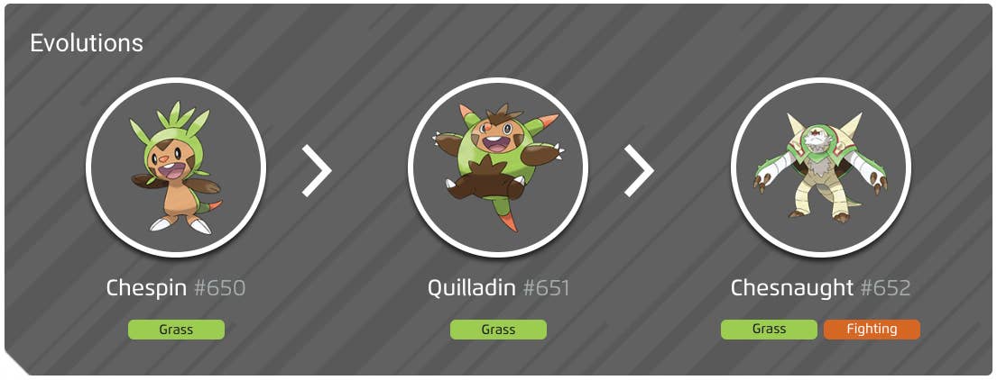 Shiny Chespin evolution chart, 100% perfect IV stats and Chesnaught ...