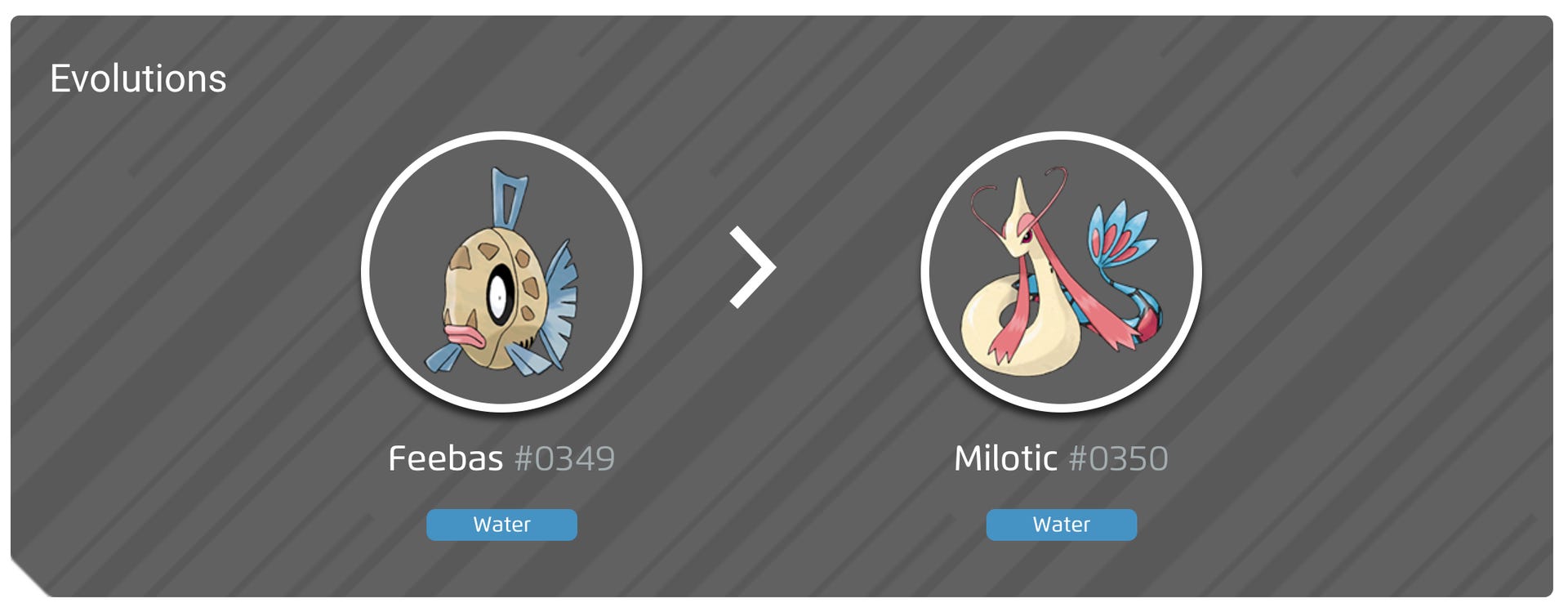 Feebas Patterns Feebas 100% perfect IV stats, shiny Milotic preview in Pokémon Go ...