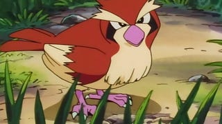 Pokémon Go - Como ganhar muito XP rapidamente com o Pidgey