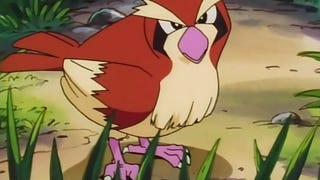 Pokémon Go - Como ganhar muito XP rapidamente com o Pidgey