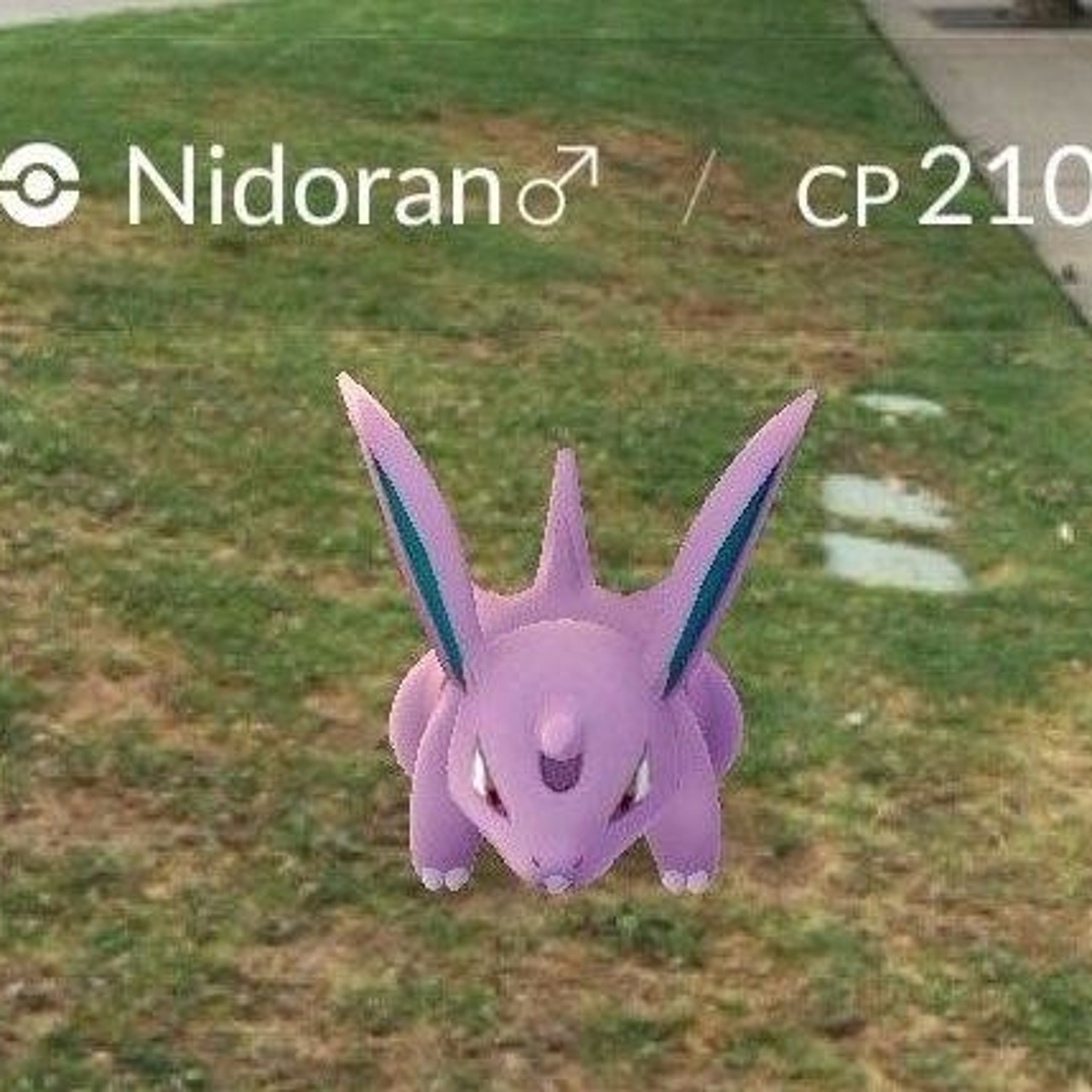 Pokémon Go - How to find Pokémon in spawn locations, biomes and