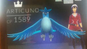First Pokemon Go Legendary appears - Articuno caught in Ohio, but is it real?