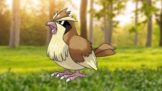Pidgey 100% perfect IV stats, shiny Pidget in Pokémon Go