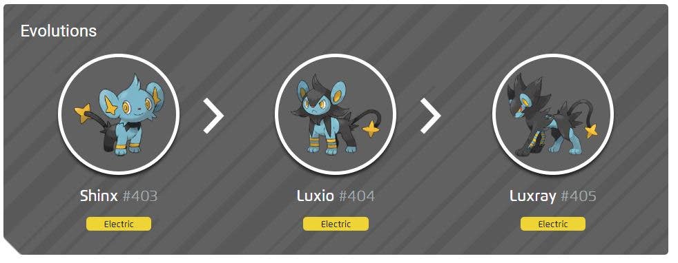 Shiny Shinx, evolution chart, 100% perfect IV stats and Luxray