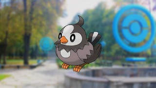 Pokémon Go Field Notes: Starly research quest steps explained