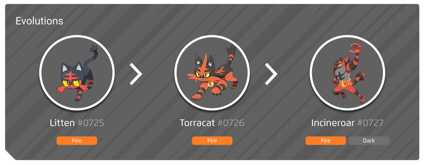 Litten Typ Shiny Litten, evolution chart, 100% perfect IV stats, and Incineroar’s ...