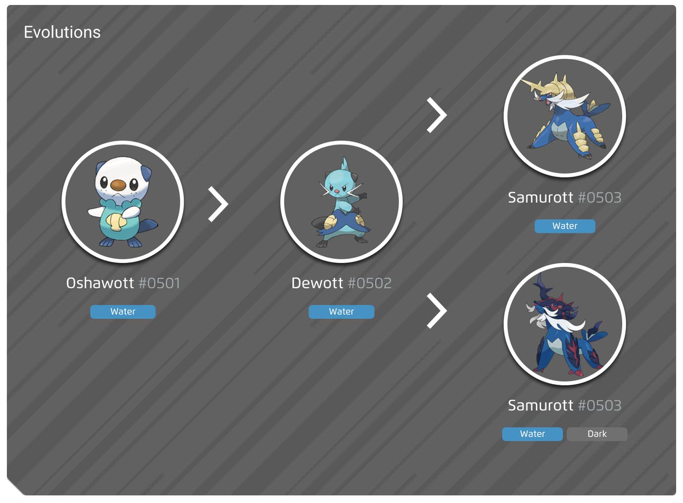 Oshawott 100 Perfect IV Stats Shiny Oshawott Preview In Pok mon Go oshawott-100-perfect-iv-stats-shiny-oshawott-preview-in-pok-mon-go