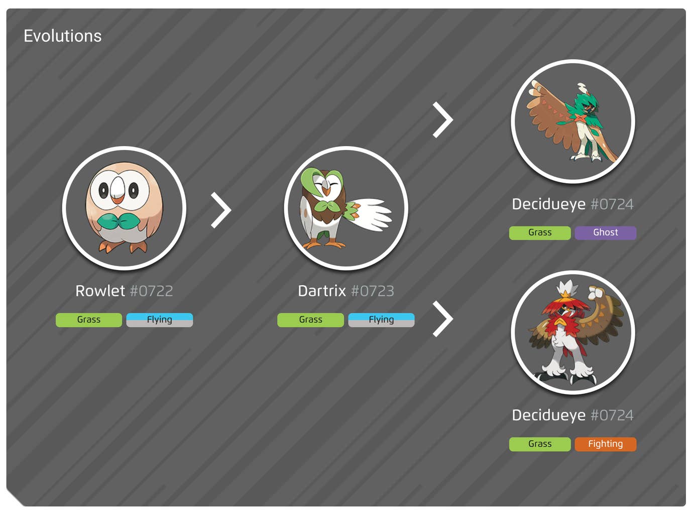Rowlett Eevolution Line Pokémon Go Hisuian Decidueye counters, weaknesses, shiny Hisuian ...