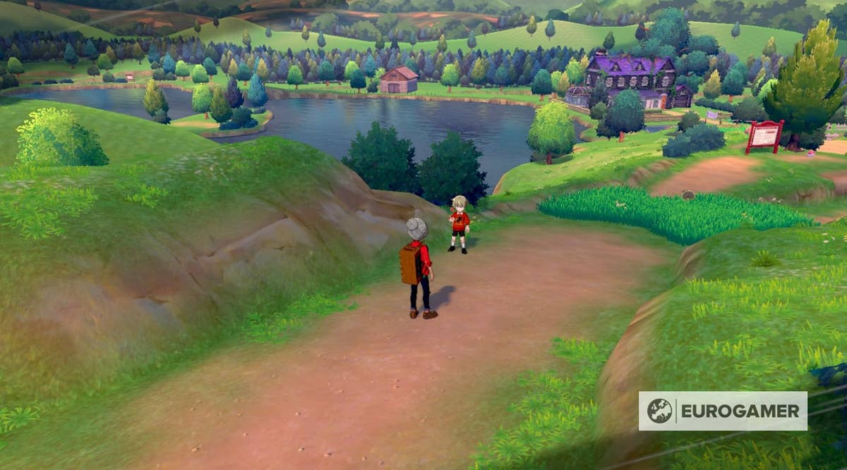 Pokémon Sword and Shield Route 2 and Professor Magnolia’s house