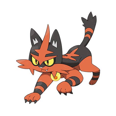 Shiny Litten, evolution chart, 100% perfect IV stats, and Incineroar’s ...