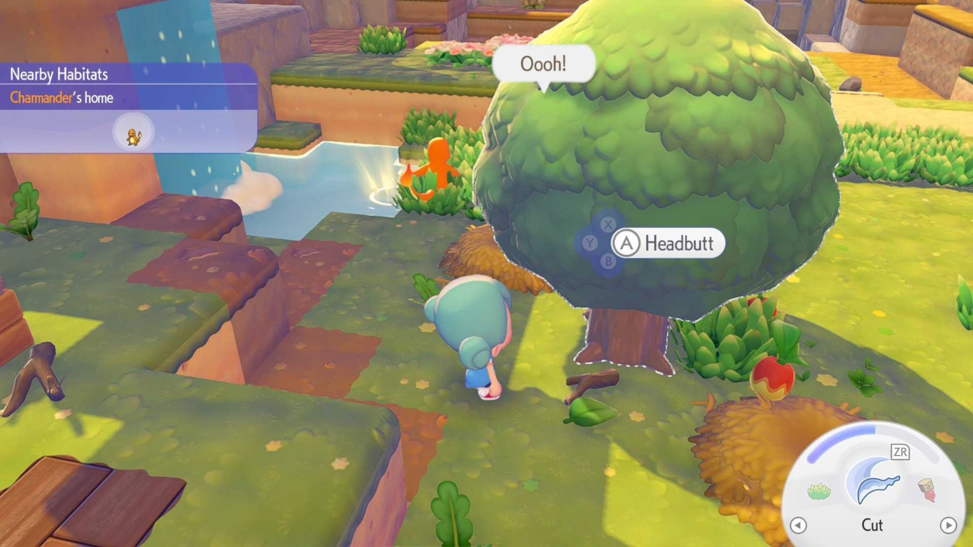 How to get Leaves in Pokémon Pokopia | Eurogamer.net