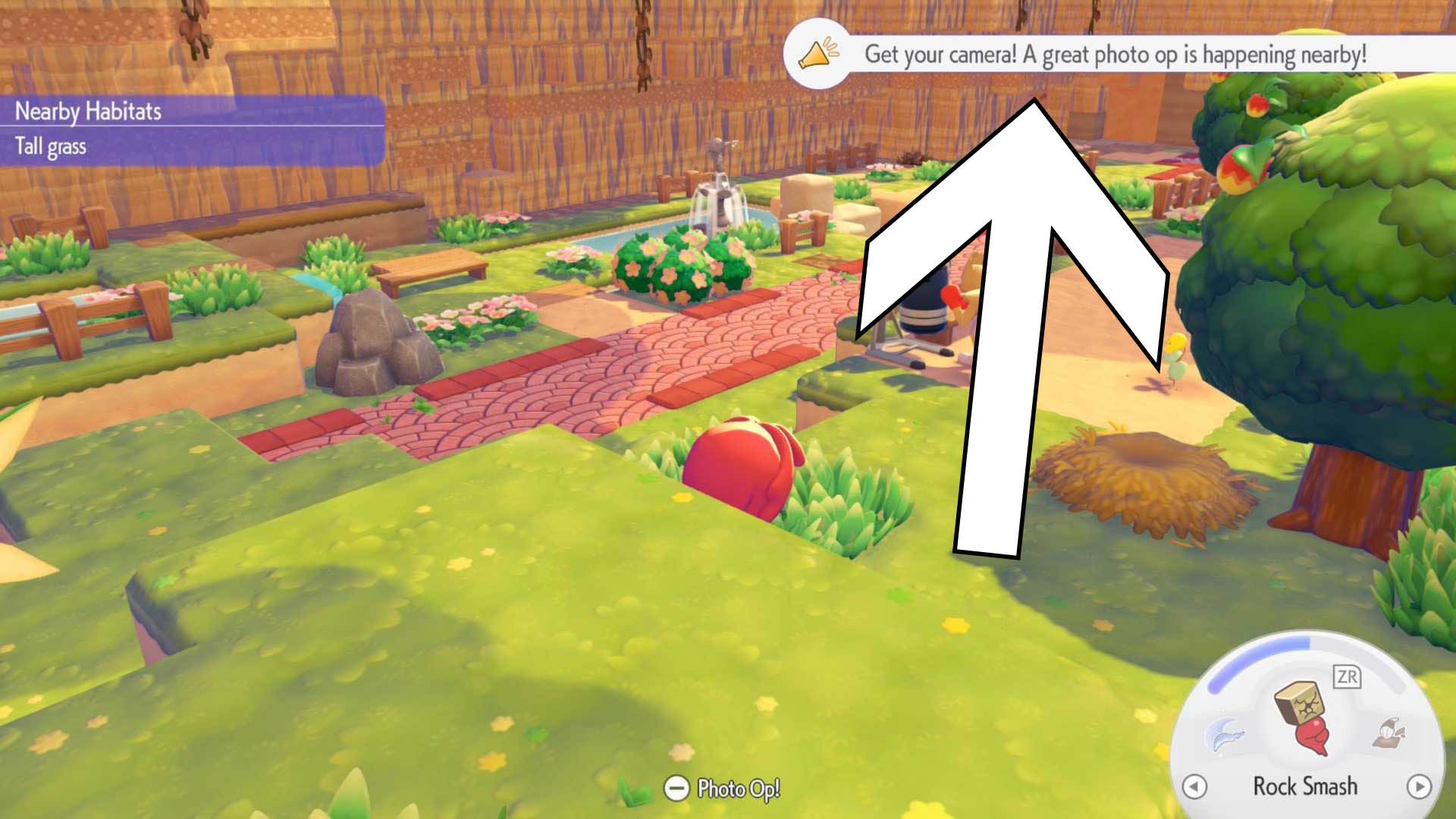 pokopia photo op notification