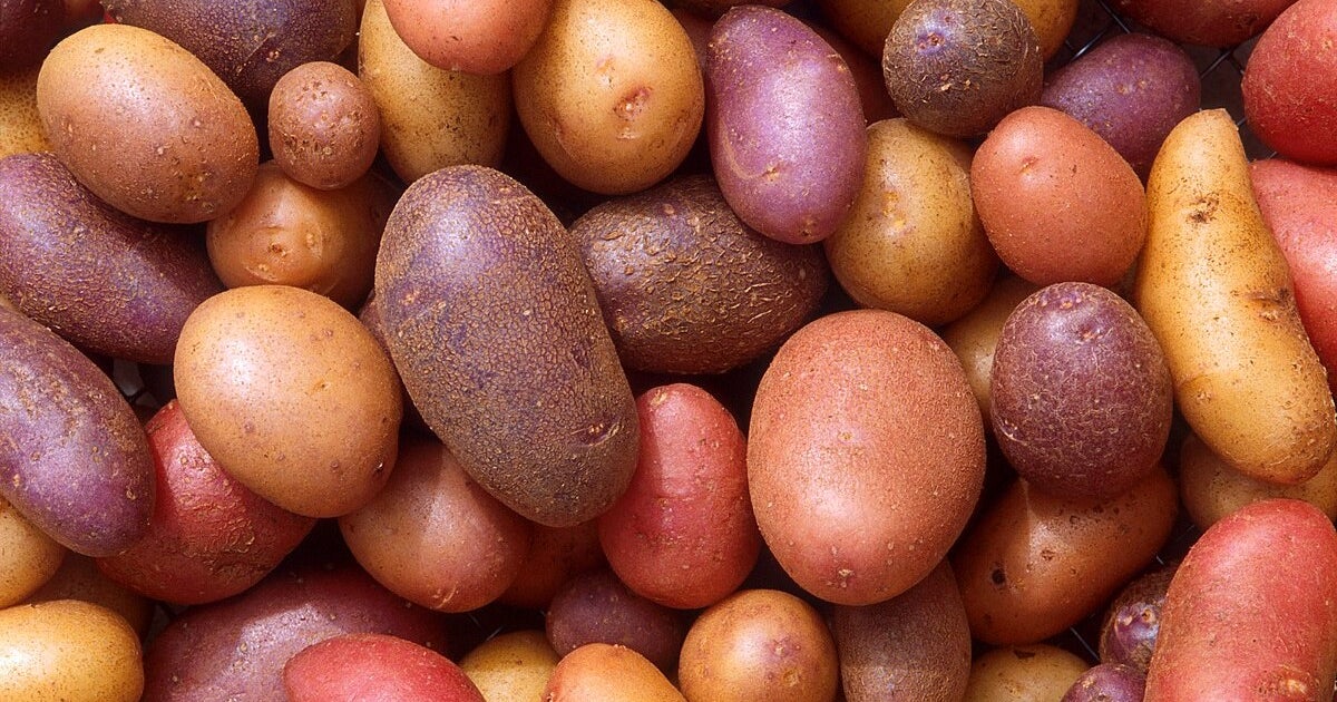 Walkable Neocities: A website about potatoes, and a thing that is happening now Walkable Neocities: A website about potatoes, and a thing that is happening now