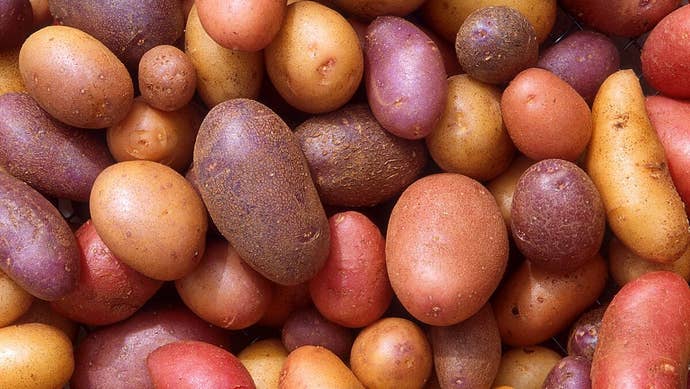 A representation of respective antithetic hues of potatoes.