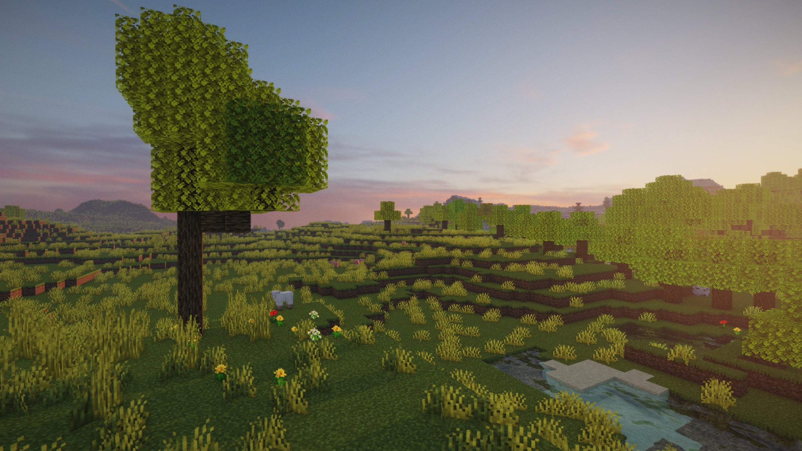 A single tree in a Minecraft plains biome with projectLUMA Shaders installed.