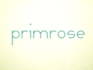 Primrose boxart