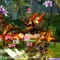 Sword Art Online Re: Hollow Fragment screenshot
