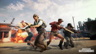 Tequila Sunrise is PUBG's new limited-time event mode