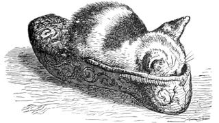 An illustration of a kitten asleep in a slipper.