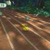 Capturas de pantalla de PokéPark Wii: Pikachu's Adventure