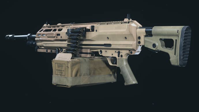 The RAAL MG in Warzone