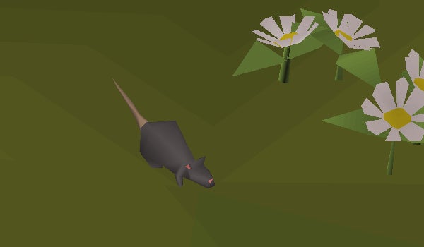Rs3 Splash Rats Solve a crab housing crisis and fight a Dreadhog in part one of ...