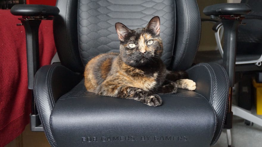 A close-up photo of the Razer Iskur gaming chair