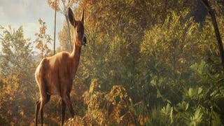 RECENZE The Hunter: Call of the Wild