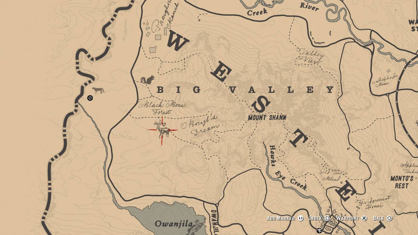Buck Rdo Red Dead Redemption 2 Legendary Buck location guide | VG247