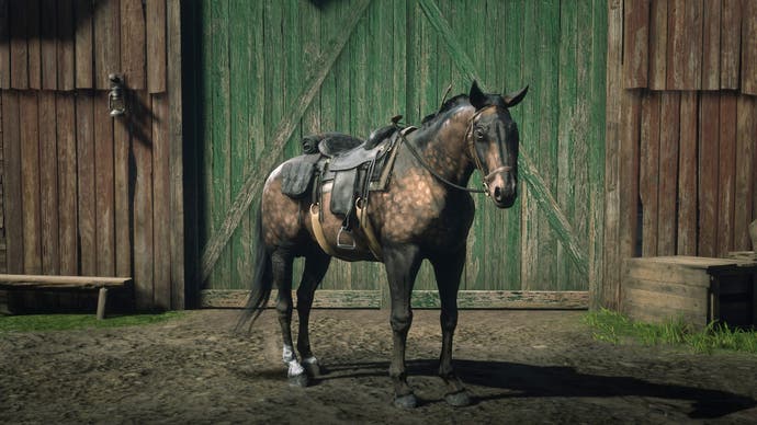 A horse stands in front of a stable. It's got speckled brown colouring and an expensive looking saddle.