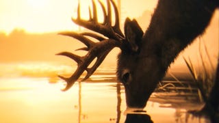 Red Dead Online now lets you transform into a deer