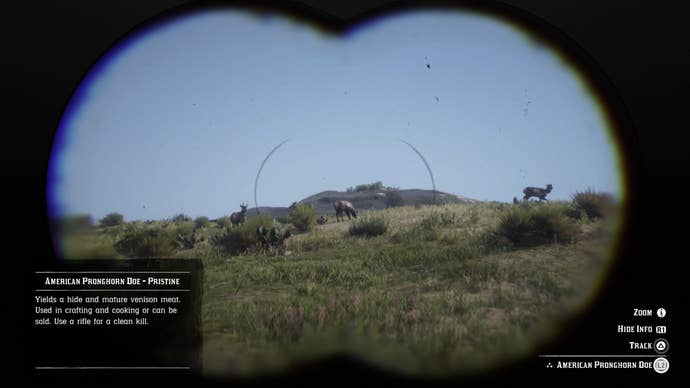 A Red Dead Redemption 2 player enters a first-person mode to look through a pair of binoculars and hunt for animals.