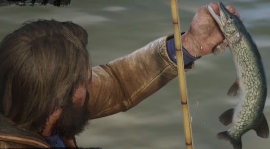 Red Dead Redemption 2 Legendary fish locations and how to catch them | Eurogamer.net Red Dead Redemption 2 Legendary fish locations and how to catch them | Eurogamer.net