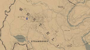 Map location for the mining helmet and bone knife in Red Dead Redemption 2.