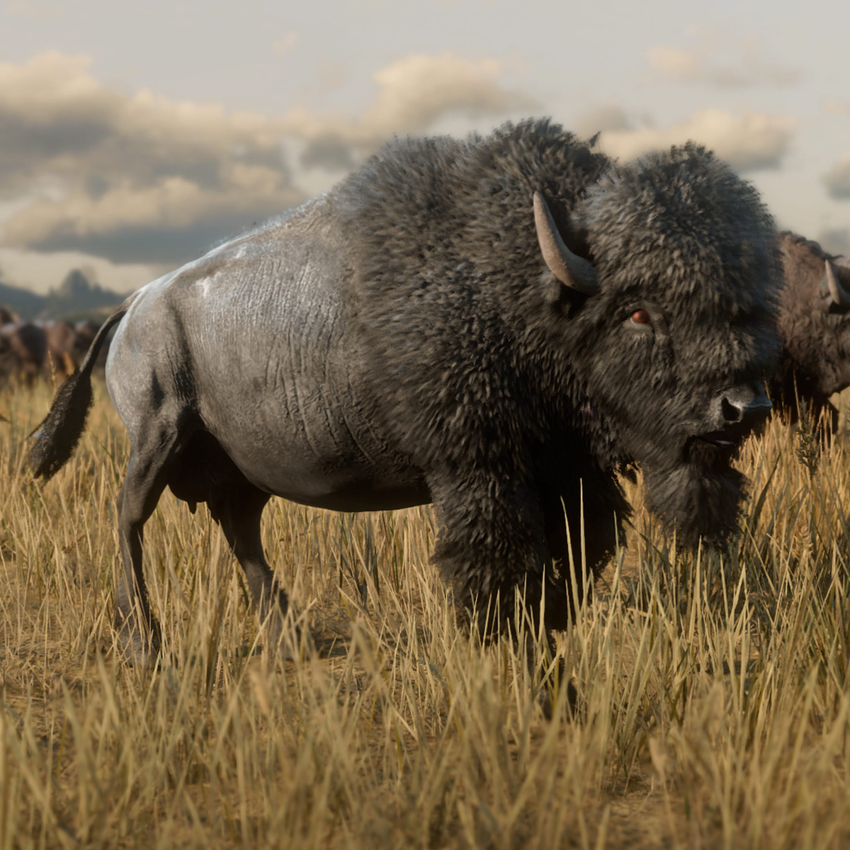 Red dead redemption on sale 2 animal prices
