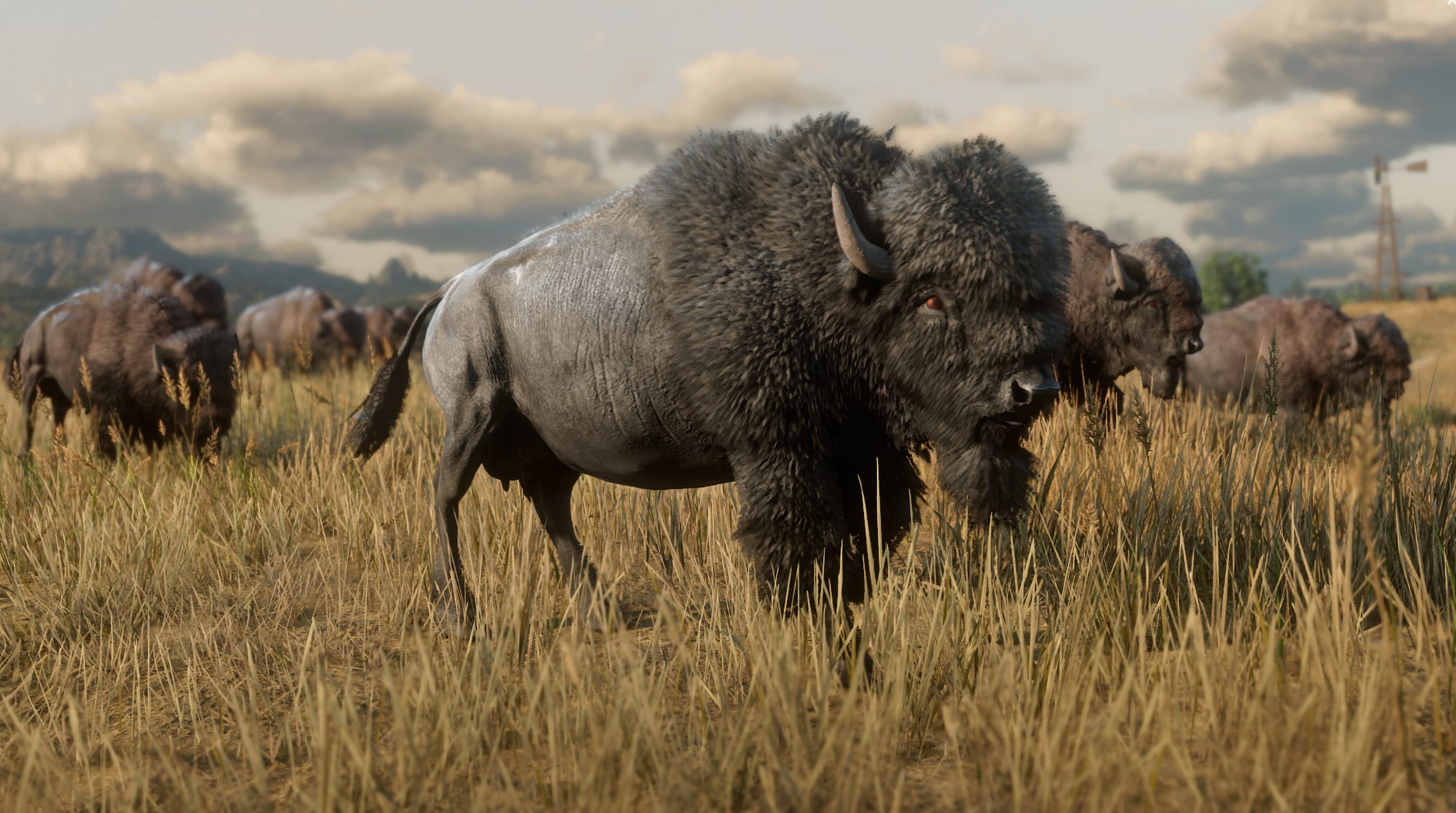 A field full of Bisons in Red Dead Redemption 2. - 1