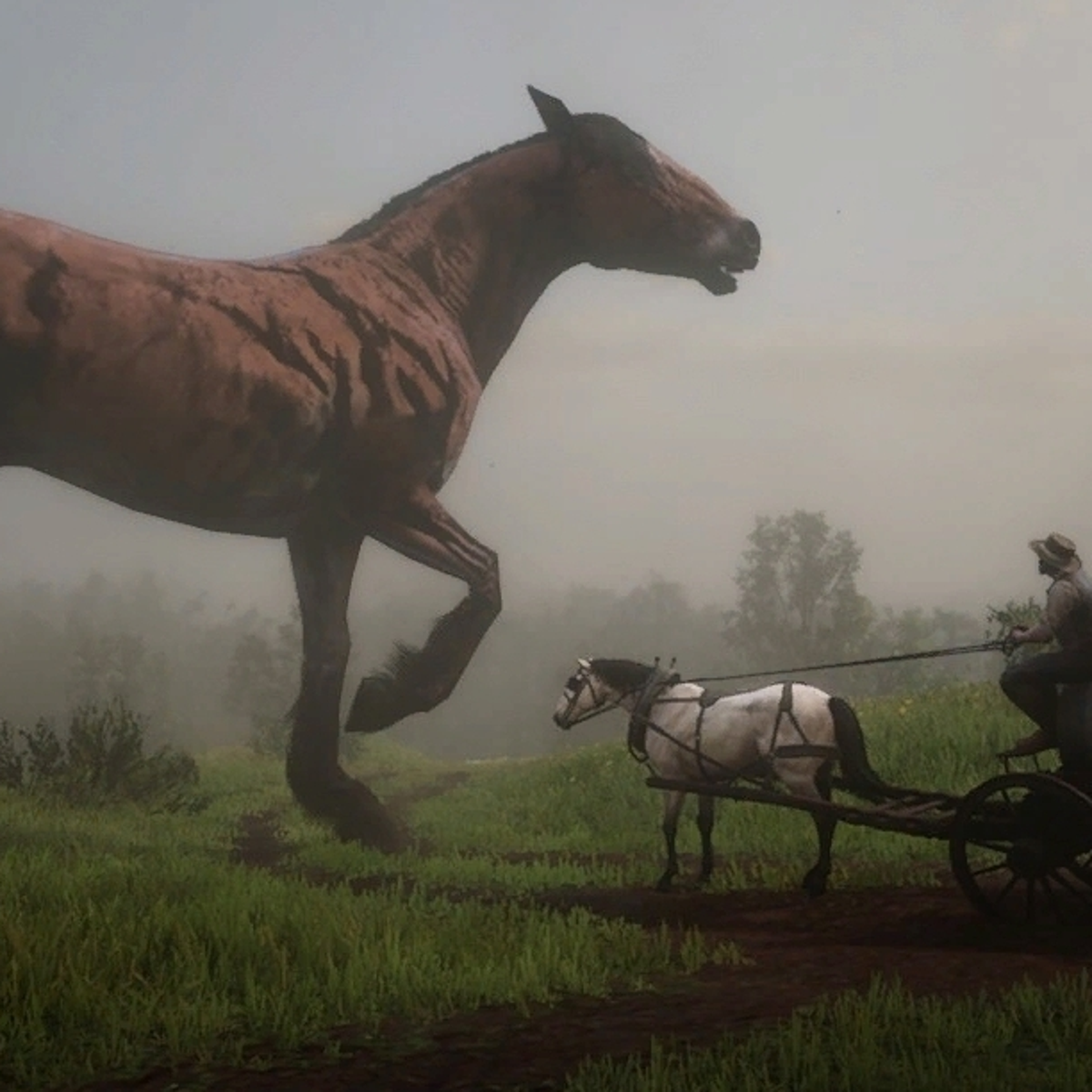 Red Dead Redemption 2 PC mod lets you be a tiny wee cowboy