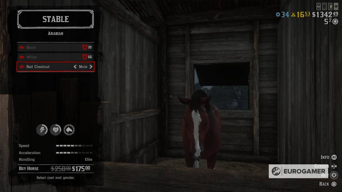 Red Dead Online best horses explained: Our best beginner and