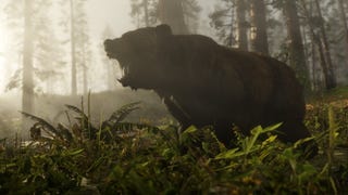 You can stare down bears to prevent them attacking in Red Dead Redemption 2