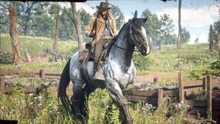 Red Dead Redemption 2: How to get the pre-order bonus horses, outfits and more