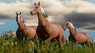 Red Dead Redemption 2 - Best horses guide