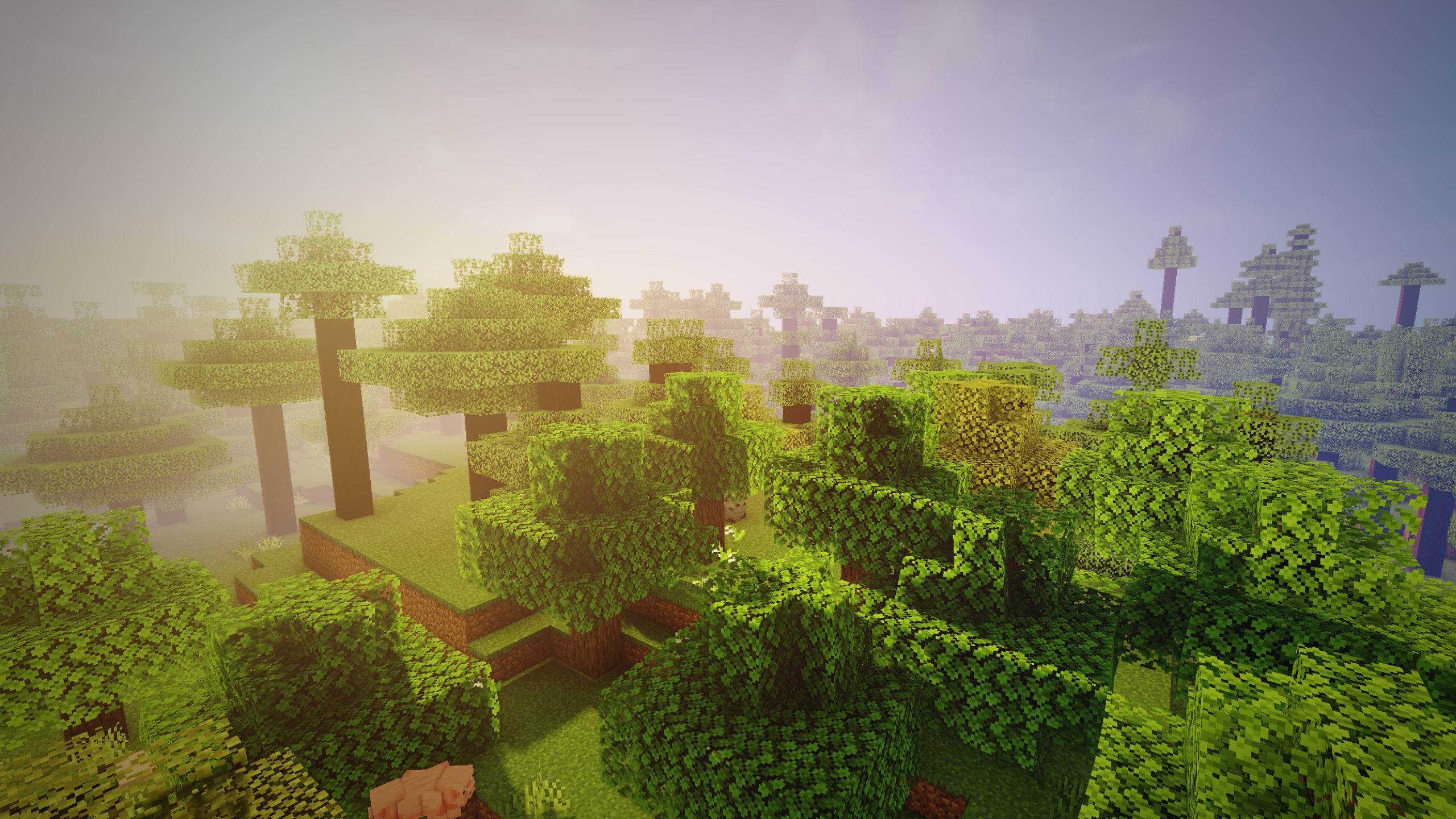 A Minecraft forest screenshot, taken from above the treetops with RedHat Shaders installed.