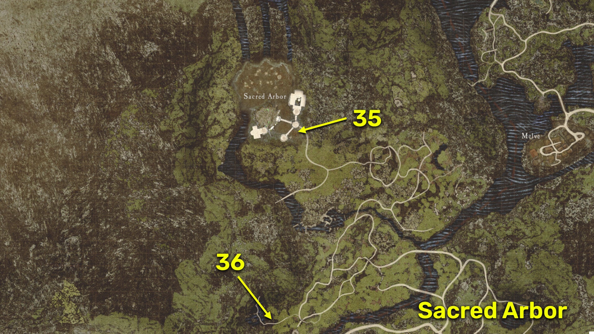 Map locations of all Riftstones in the Sacred Arbor region of Dragon&rsquo;s Dogma 2.