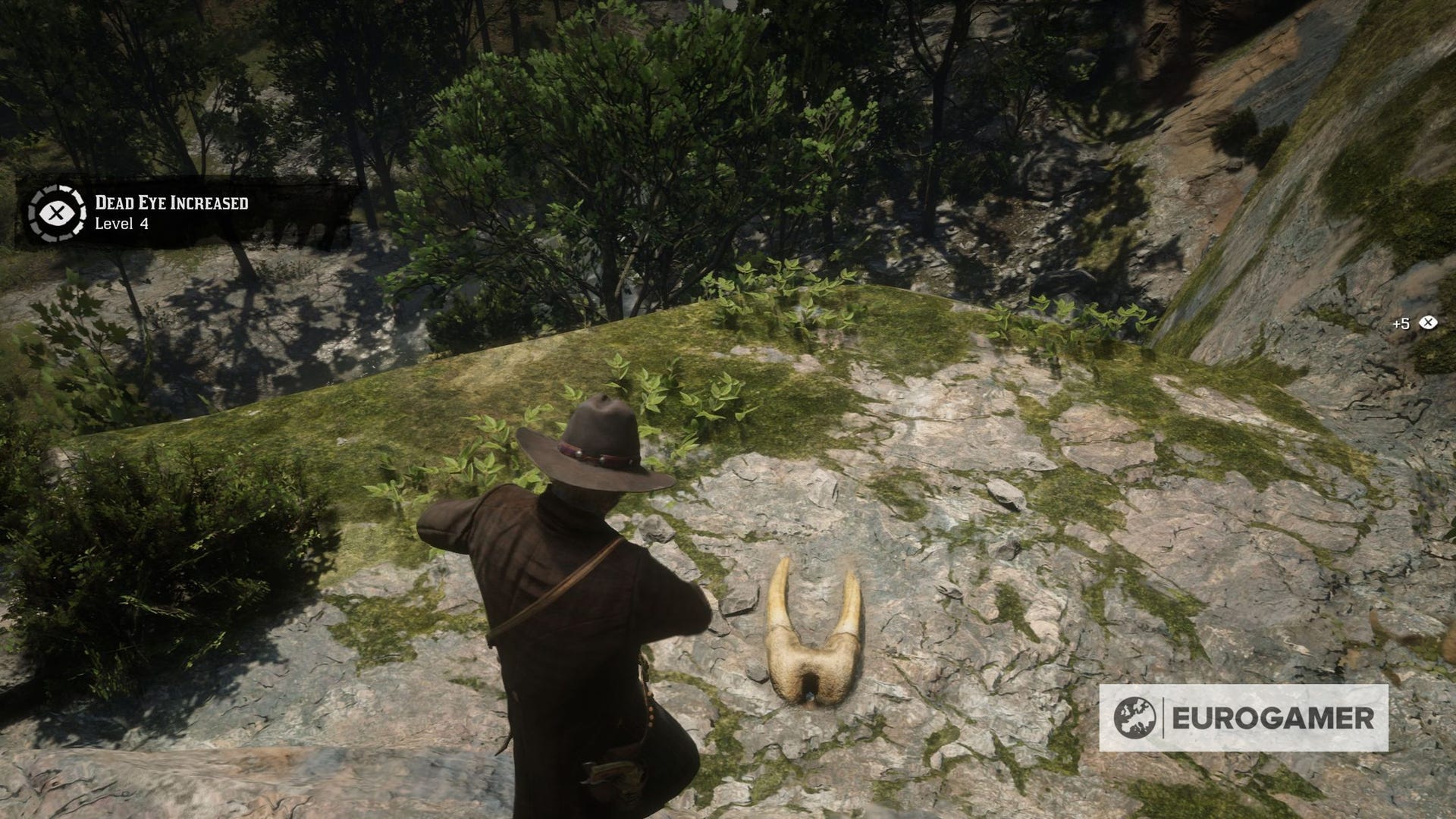 Dinosaur Bone Locations Red Dead Redemption 2 Red Dead Redemption 2 Dinosaur Bone locations and map | Eurogamer.net