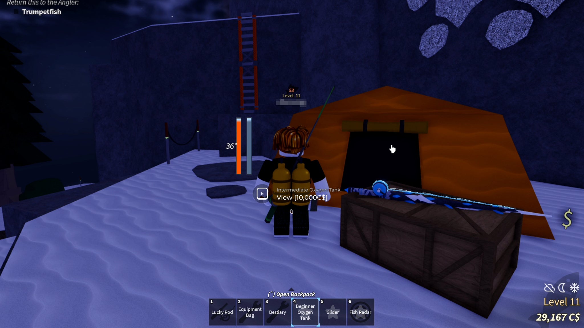 A Fisch character standing near the spot where they can purchase the Winter Cloak. - 5