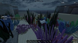 A character swimming on the Rosalit Coral Reef, where pufferfish live in Roblox Fisch.