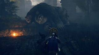 A sleeping Rune Bear in Elden Ring