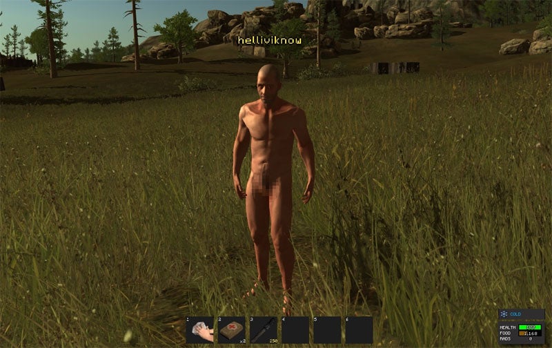 Your in game penis size in Rust is based on your Steam ID VG247